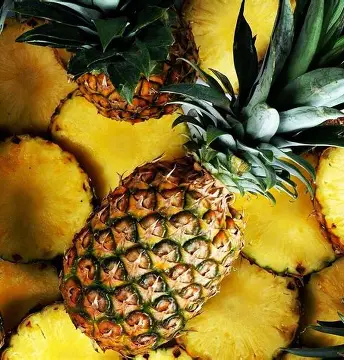 Buy Pineapple Online | Fresh & Bulk Wholesale Supplier
