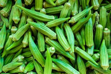 Fresh okra/okro box