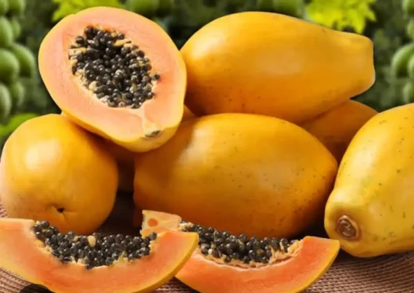 Buy Pawpaw Fruit Online | Fresh & Wholesale Deals