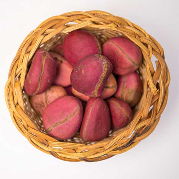 Buy West African Red Kola Nut in Bulk | Shop Red Kola Nuts