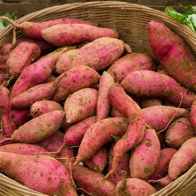 sweet potatoes